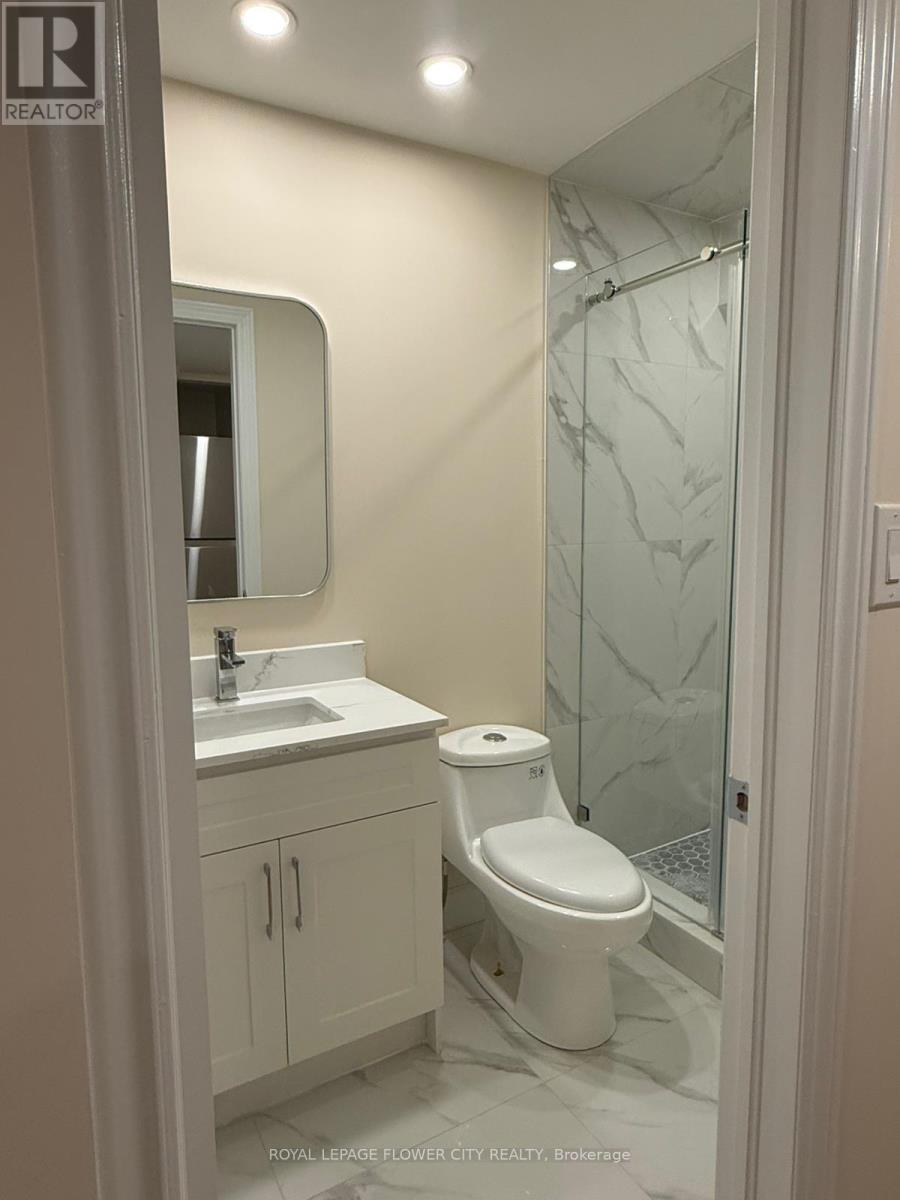 Basement - 3310 Southwick Street, Mississauga, Ontario  L5M 7K9 - Photo 21 - W12722980