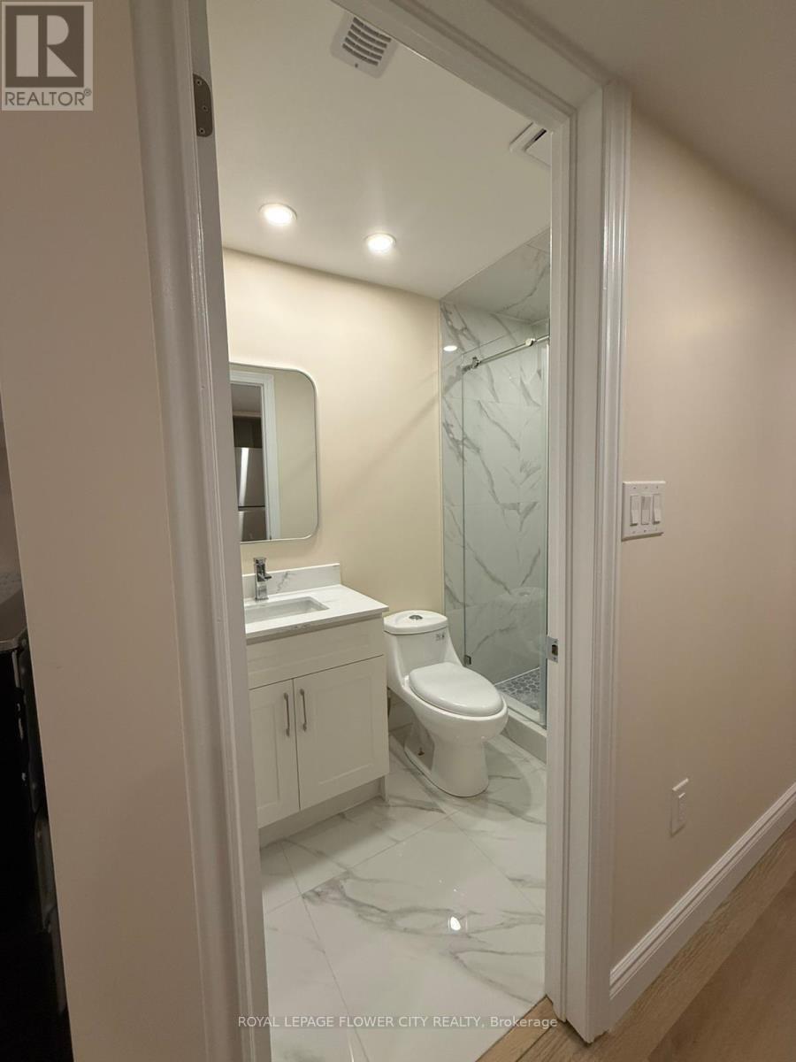 Basement - 3310 Southwick Street, Mississauga, Ontario  L5M 7K9 - Photo 22 - W12722980