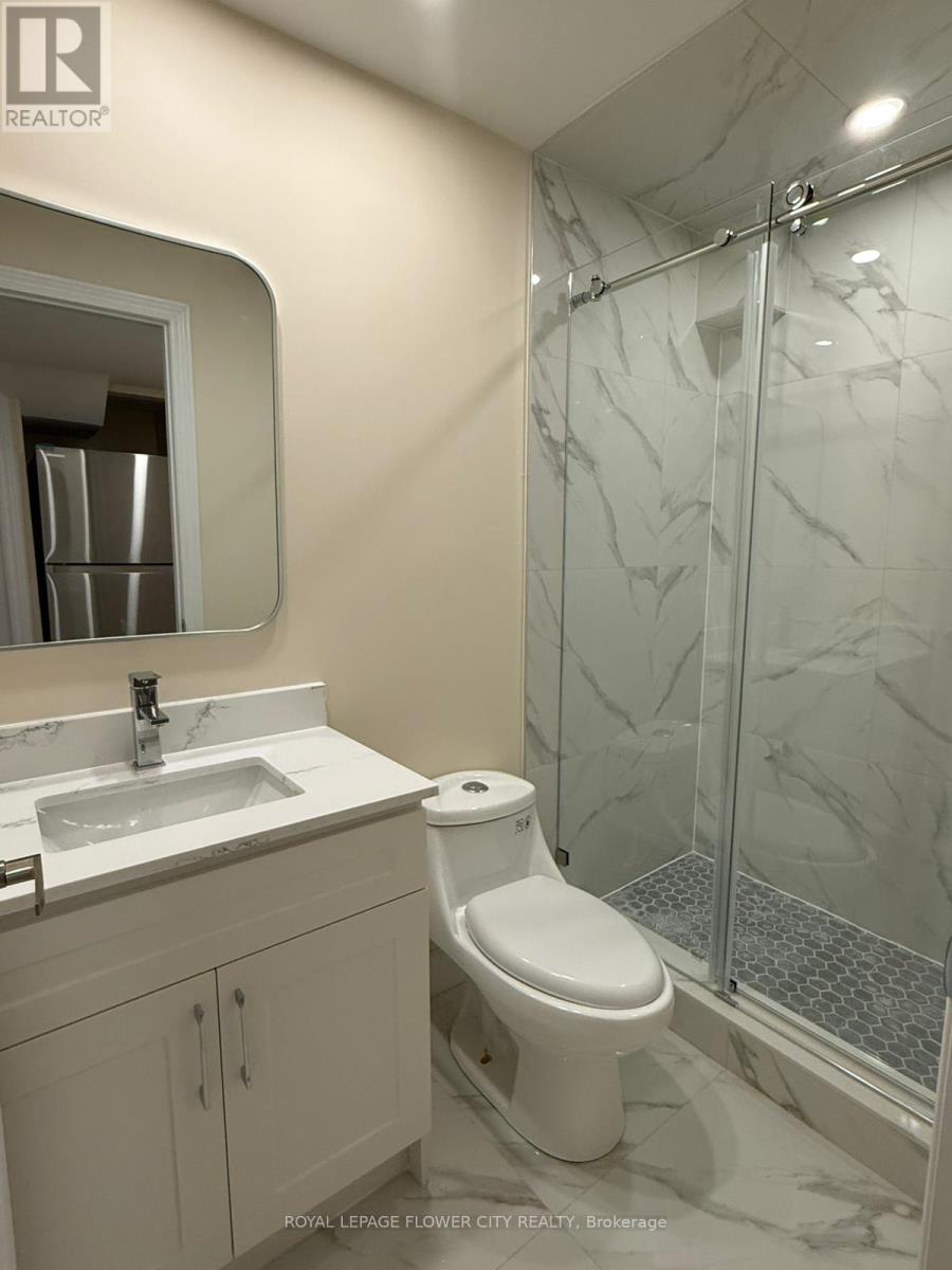 Basement - 3310 Southwick Street, Mississauga, Ontario  L5M 7K9 - Photo 19 - W12722980