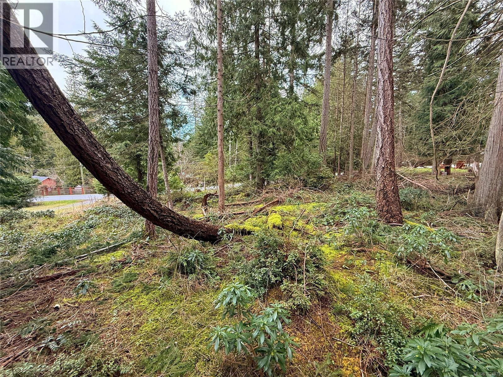 Lt 37 Dirksen Rd, Gabriola Island, British Columbia  V0R 1X2 - Photo 3 - 1024079