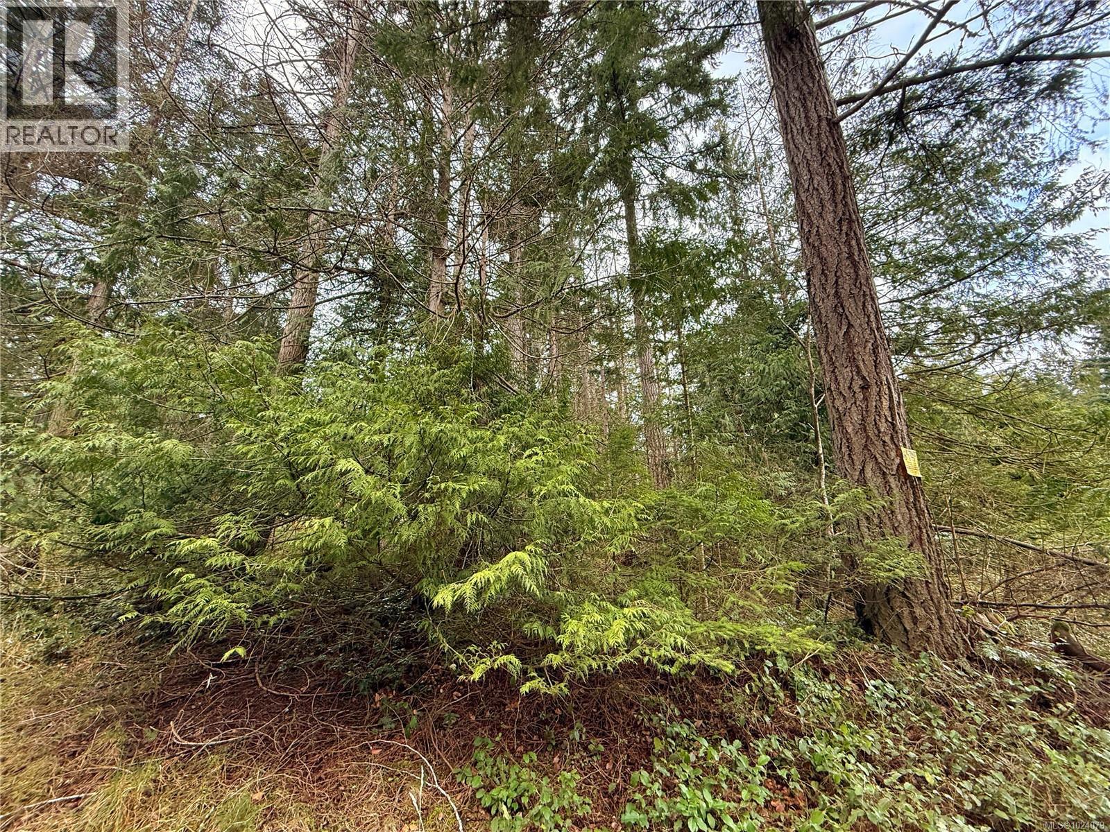 Lt 37 Dirksen Rd, Gabriola Island, British Columbia  V0R 1X2 - Photo 4 - 1024079