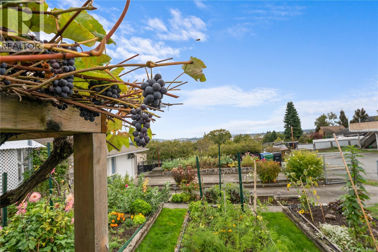 609 Milton St, Nanaimo, British Columbia  V9R 2L4 - Photo 51 - 1024011