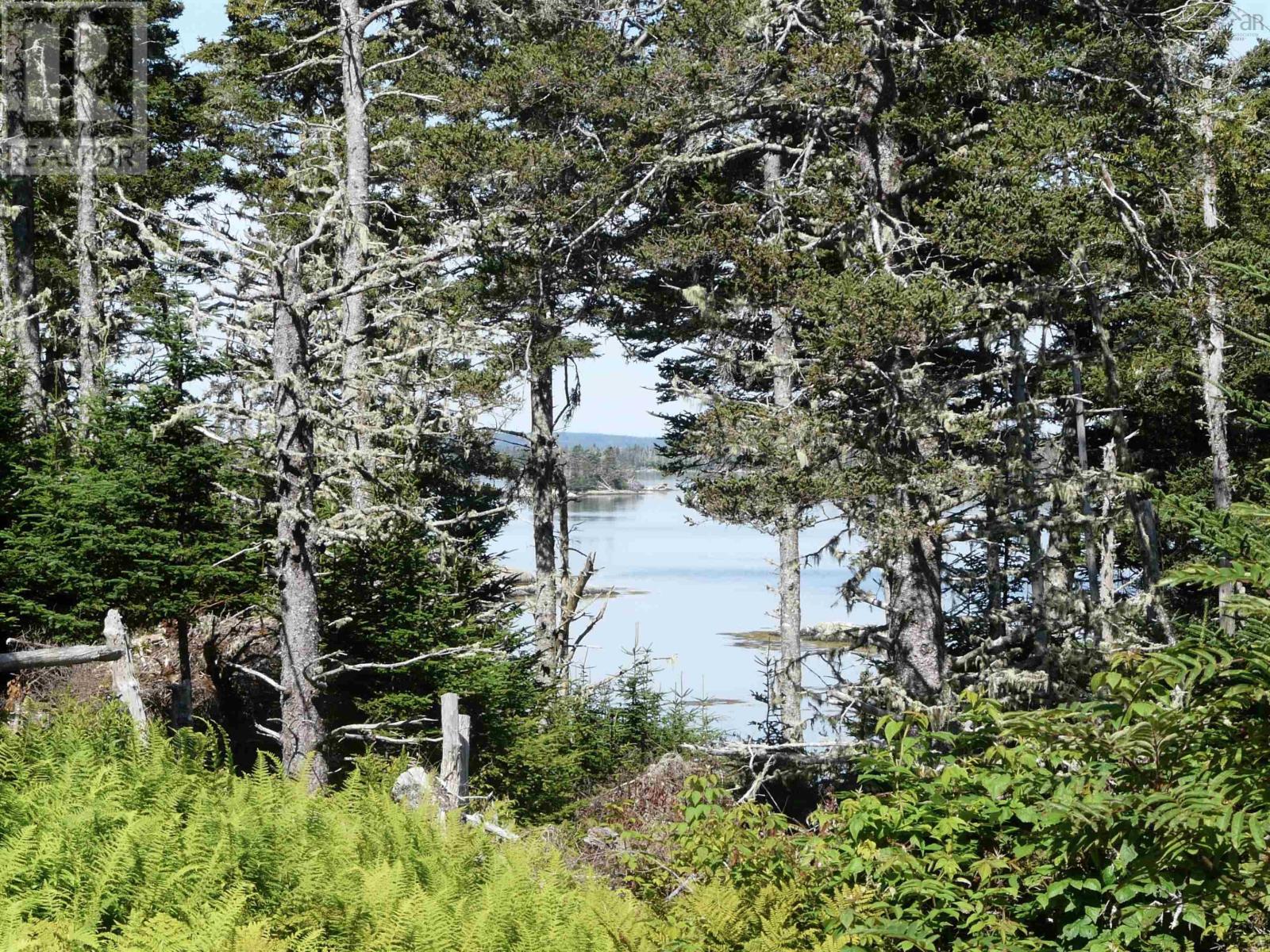 671 South Shore Road, Mitchell Bay, Nova Scotia  B0J 2K0 - Photo 47 - 202601376