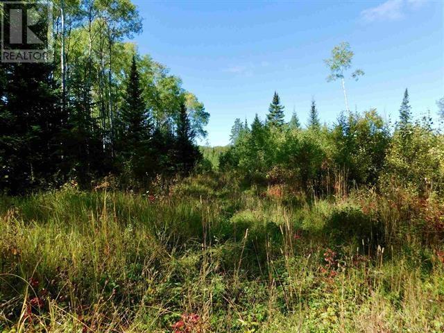 0 Chavall Rd, Machin, Ontario  P8N 2E0 - Photo 17 - TB252222