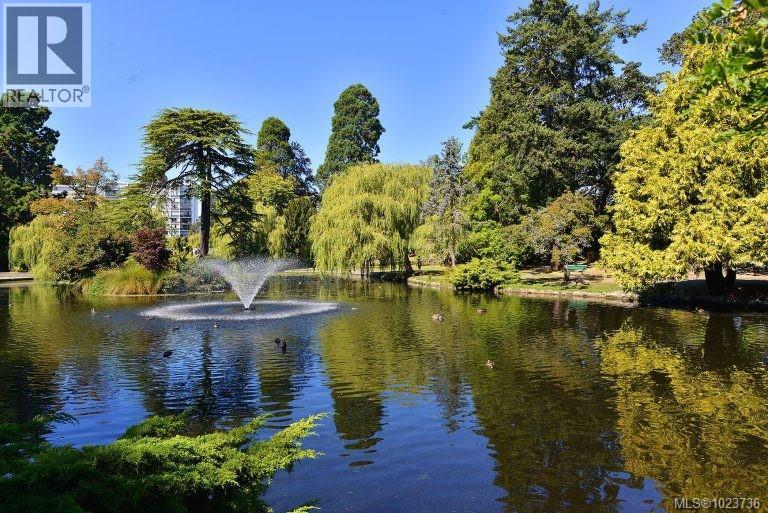 3 1434 Brooke St, Victoria, British Columbia  V8S 1M3 - Photo 22 - 1023736