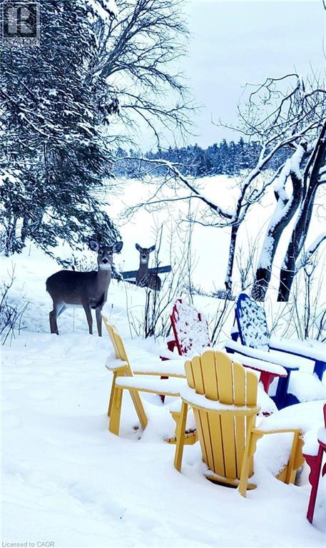 51 Lakeview Road, North Kawartha Twp, Ontario  K0L 1A0 - Photo 29 - 40799794