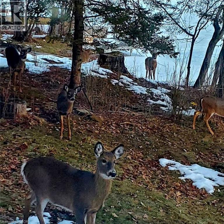 51 Lakeview Road, North Kawartha Twp, Ontario  K0L 1A0 - Photo 30 - 40799794