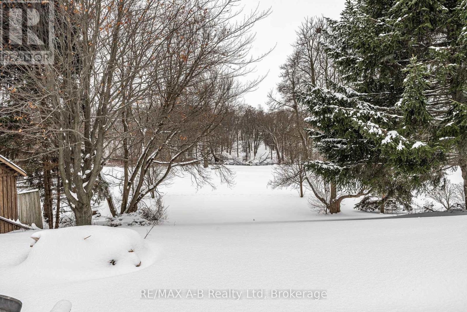 332 Widder Street E, St. Marys, Ontario  N4X 1A6 - Photo 37 - X12723716