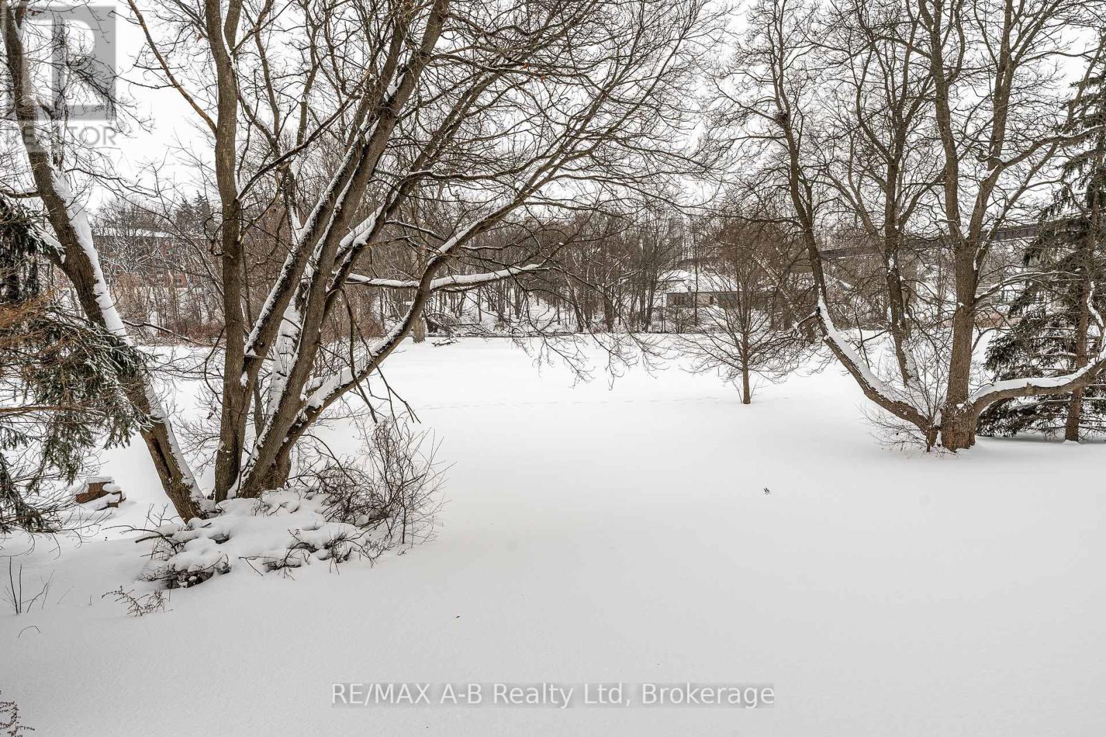 332 Widder Street E, St. Marys, Ontario  N4X 1A6 - Photo 39 - X12723716