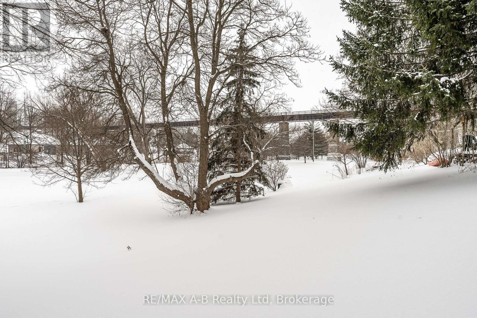 332 Widder Street E, St. Marys, Ontario  N4X 1A6 - Photo 40 - X12723716