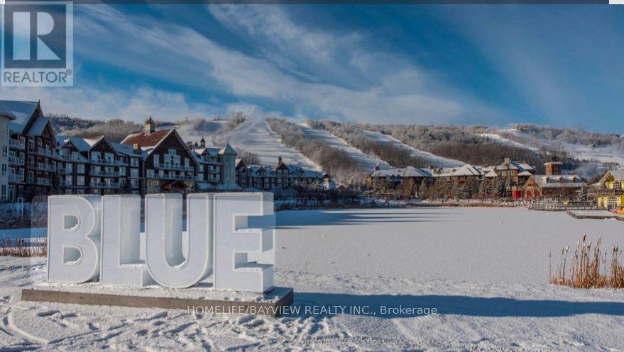 100 Reed Way, Blue Mountains, Ontario  L9Y 4P5 - Photo 50 - X12723424