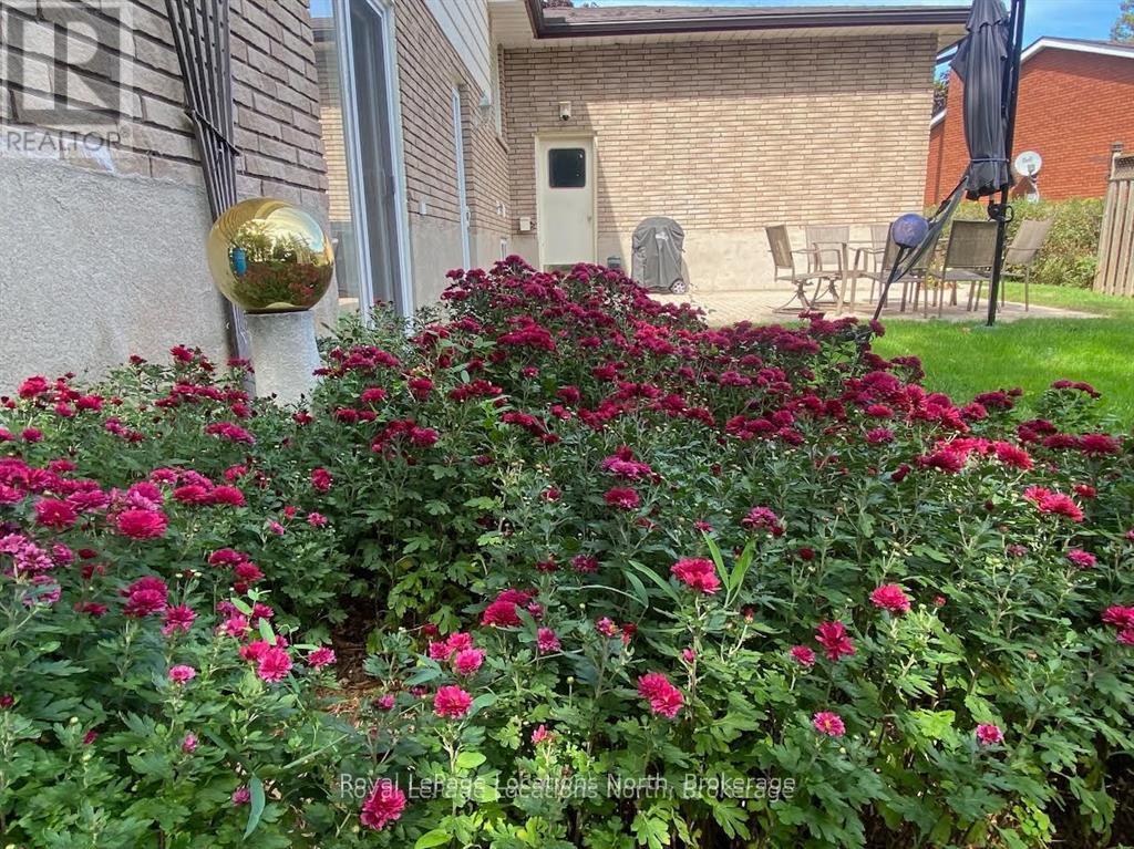 221 John Street, Clearview, Ontario  L0M 1S0 - Photo 14 - S12656324