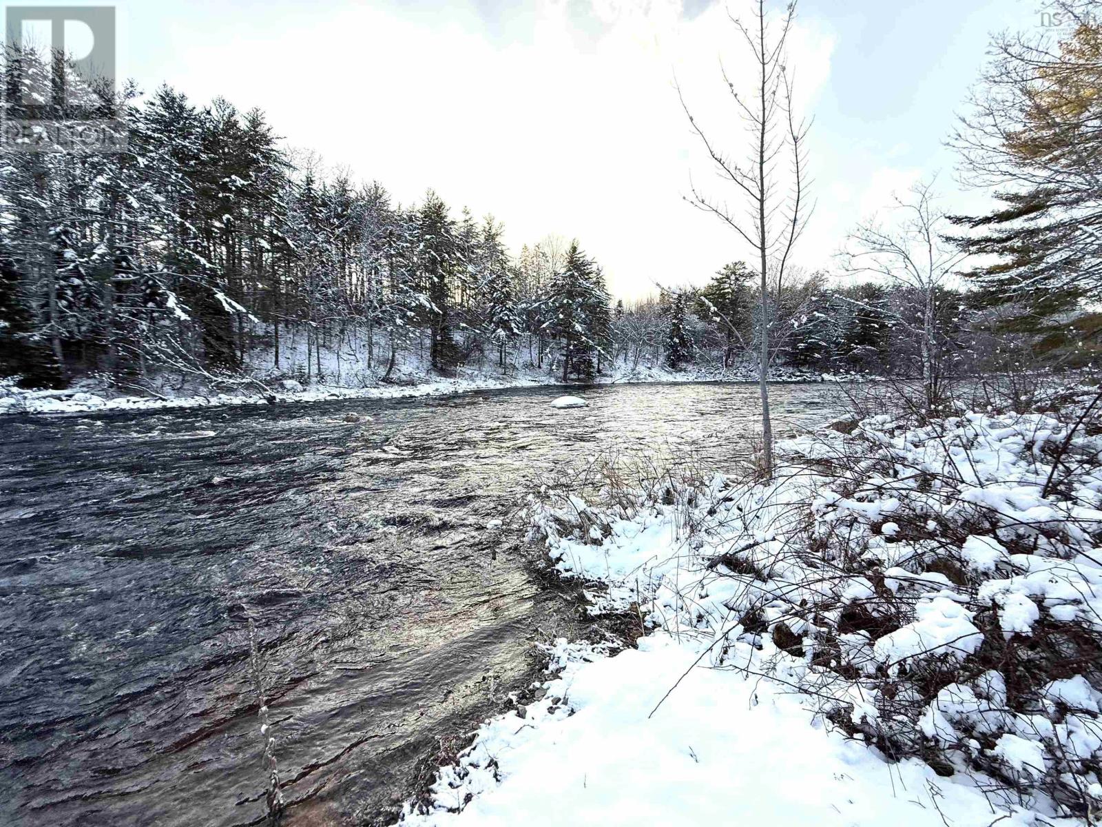 55 Zwicker Mill Road, New Germany, Nova Scotia B0R 1E0 - Photo 2 - 202601388