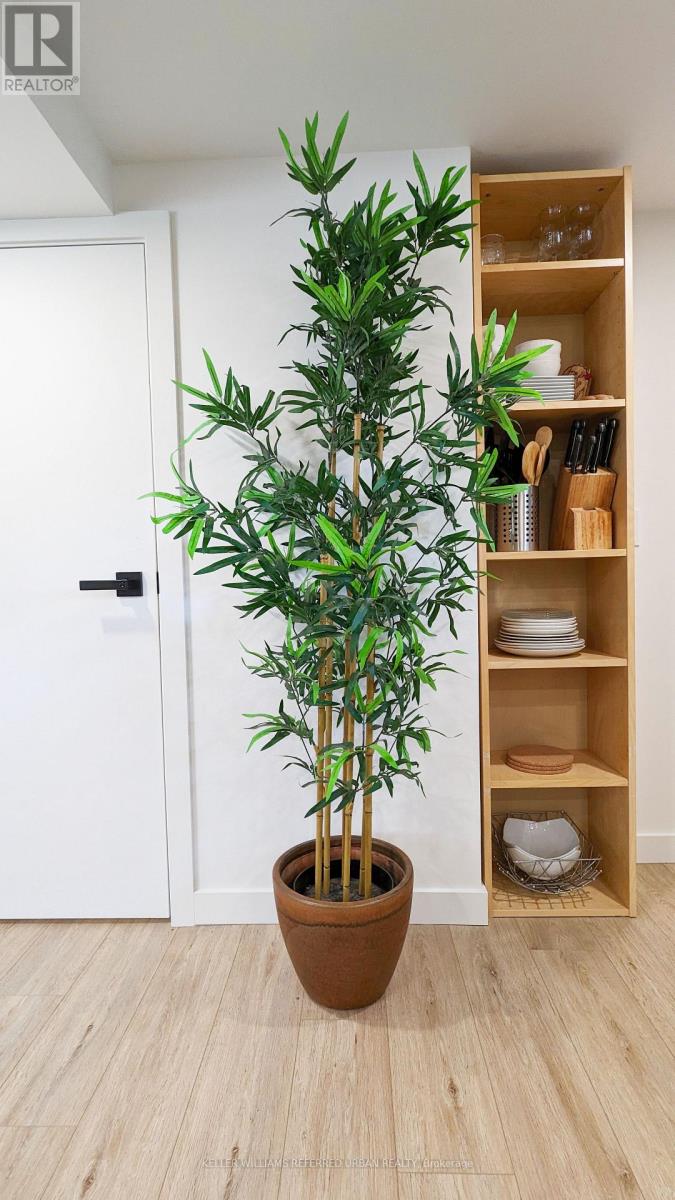 Basement - 2301 Lawrence Avenue W, Toronto, Ontario  M9P 2A7 - Photo 17 - W12723806