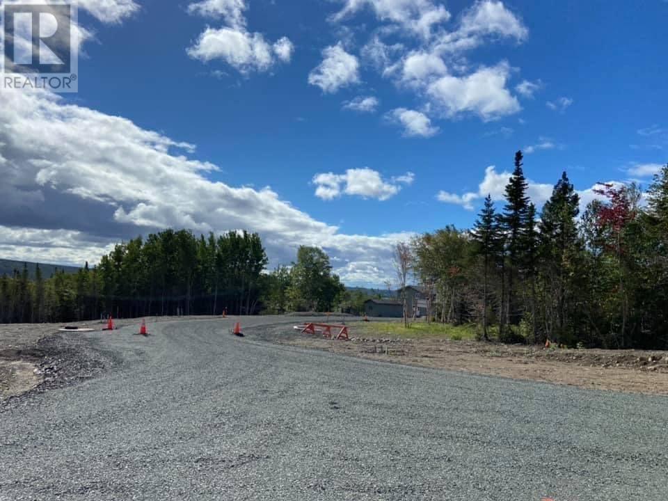 8 William White Boulevard, Lewisporte, Newfoundland & Labrador  A0G 3A0 - Photo 4 - 1293932