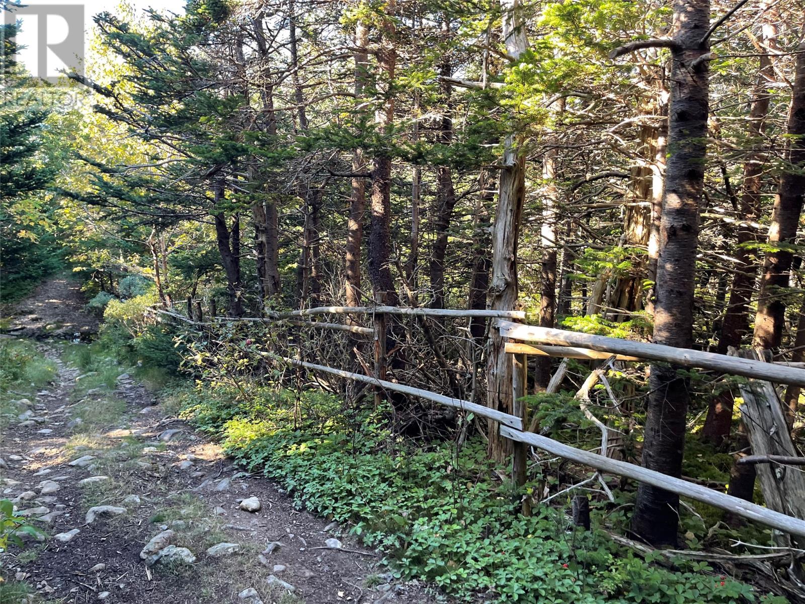 1 Wades Farm Road, Flatrock, Newfoundland & Labrador A1K 1C6 - Photo 8 - 1292829