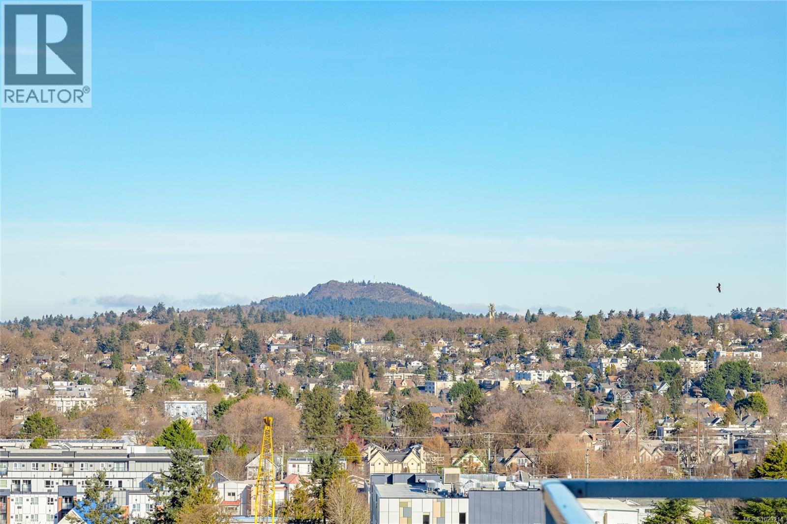 1603 989 Johnson St, Victoria, British Columbia  V8V 0E3 - Photo 35 - 1023214