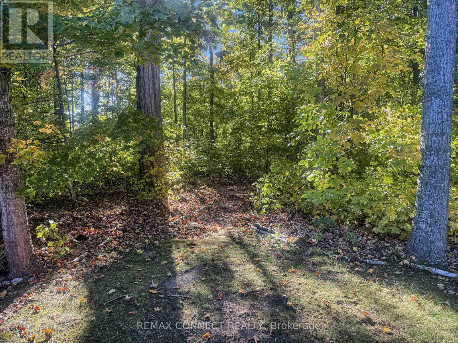 201 - 36 Hollow Lane, Prince Edward County, Ontario  K0K 1P0 - Photo 7 - X12469605