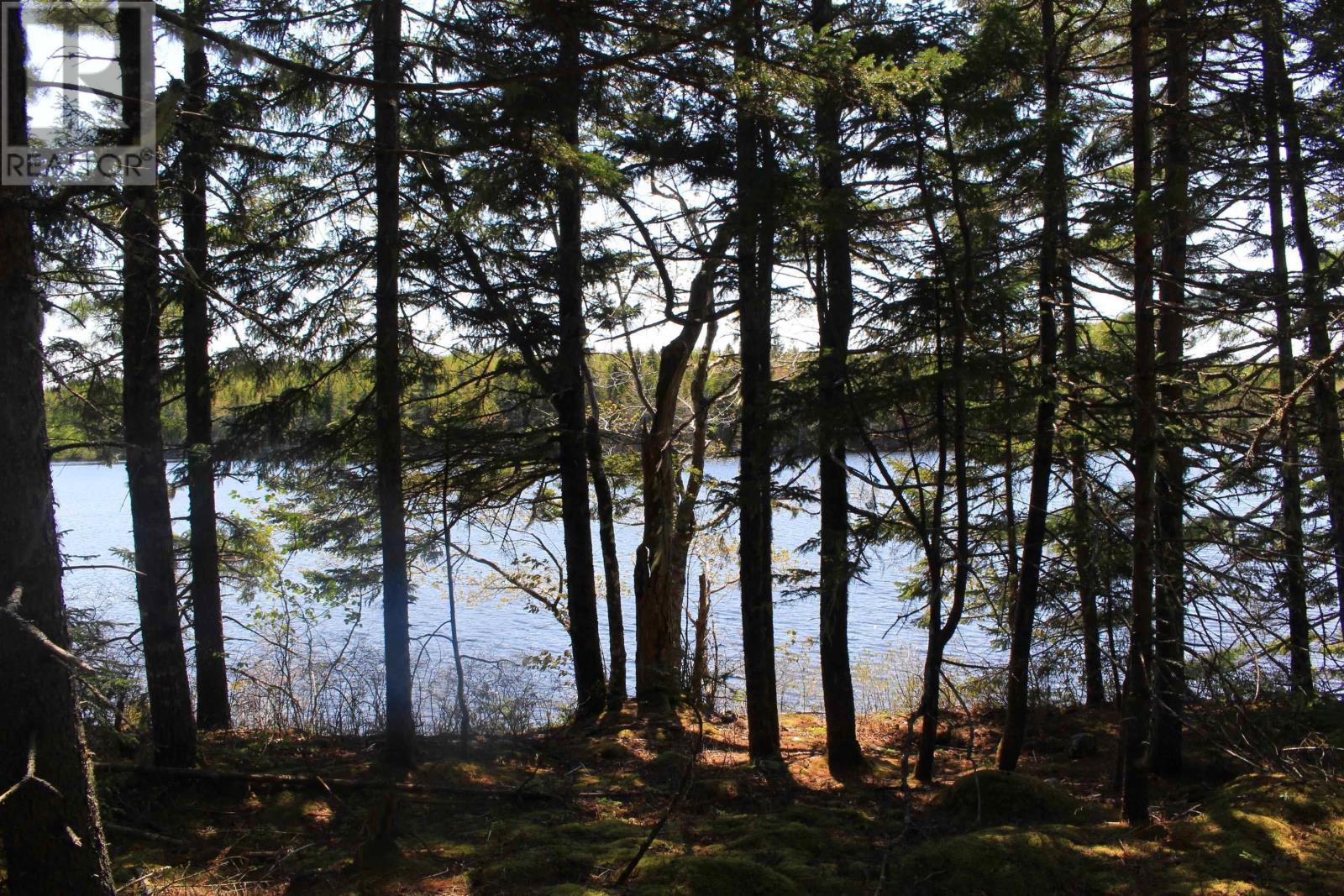 2 Laconia Road, Lunenburg, Nova Scotia B4V 5V9 - Photo 7 - 202601395