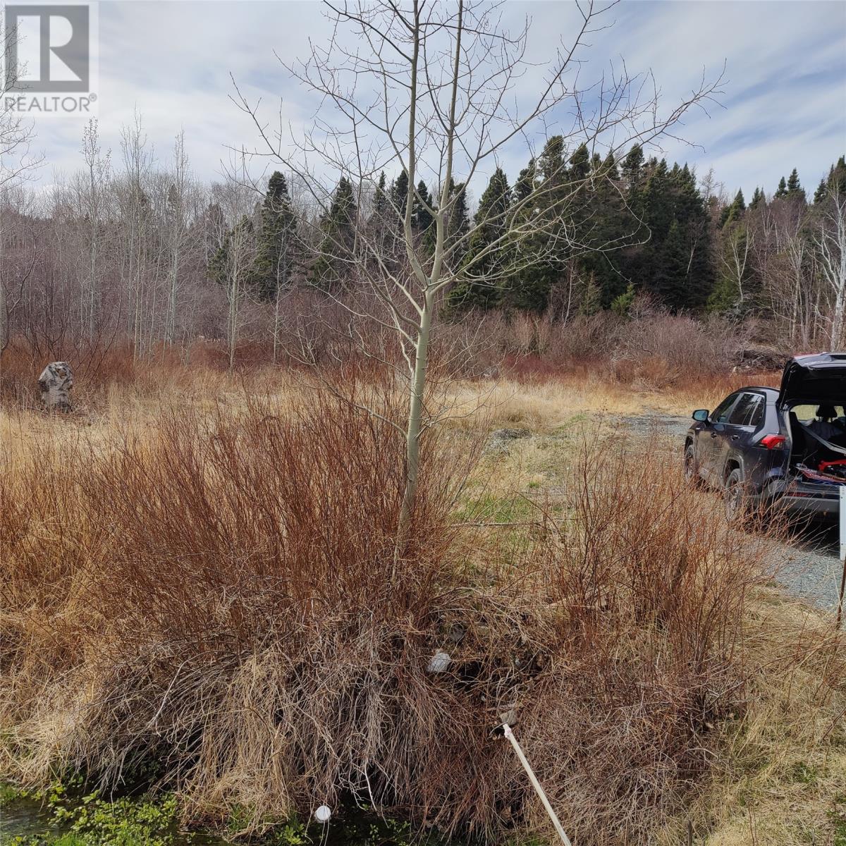 229 Main Street N, Glovertown, Newfoundland & Labrador  A0G 2L0 - Photo 1 - 1294039