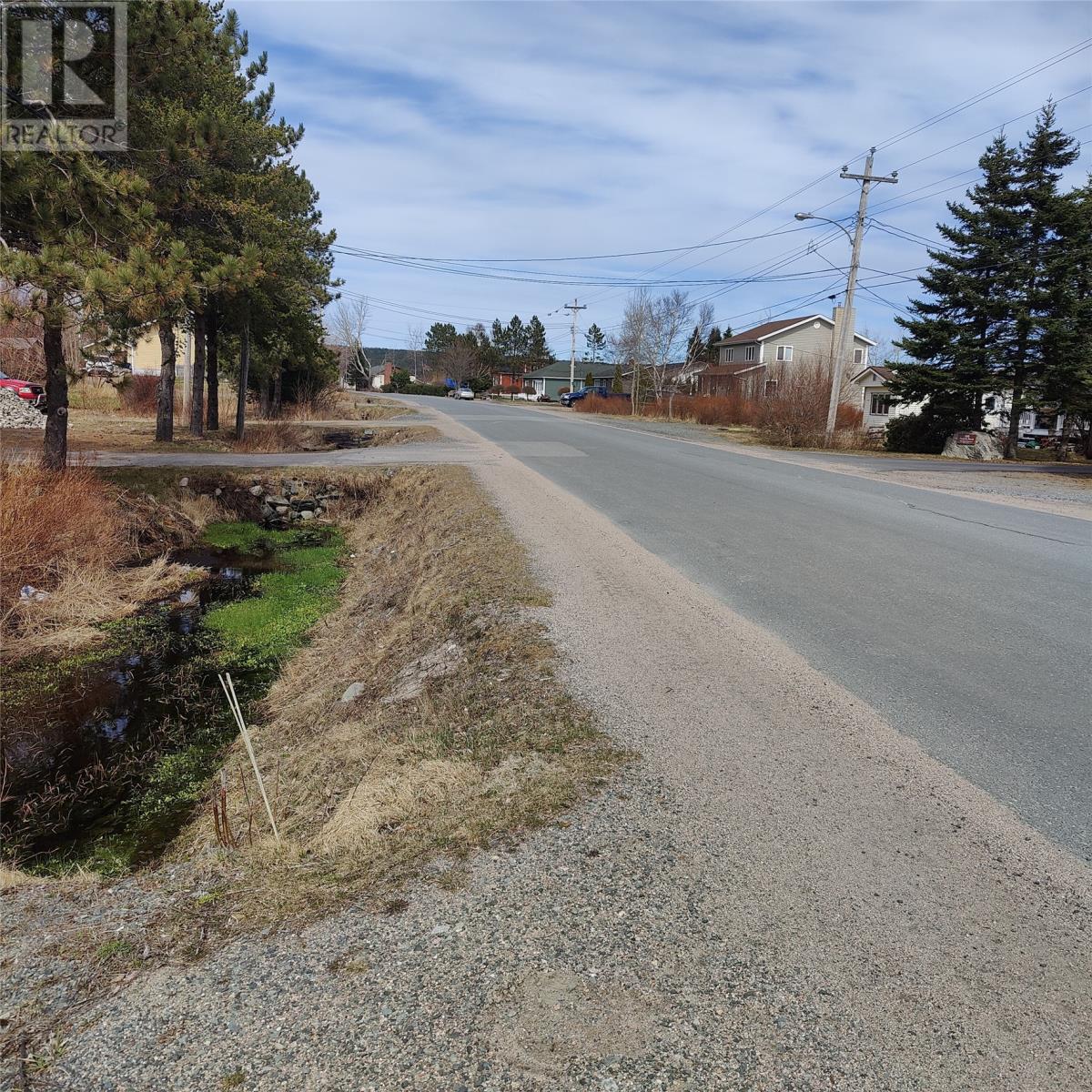 229 Main Street N, Glovertown, Newfoundland & Labrador  A0G 2L0 - Photo 3 - 1294039