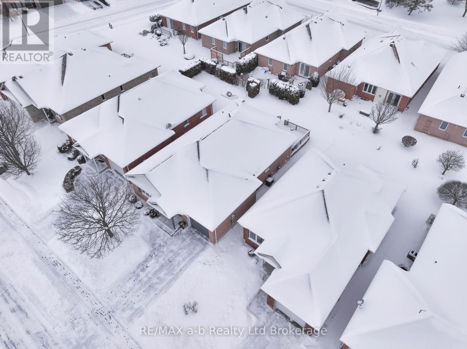 218 Baldwin Street, Tillsonburg, Ontario  N4G 5W3 - Photo 36 - X12724104