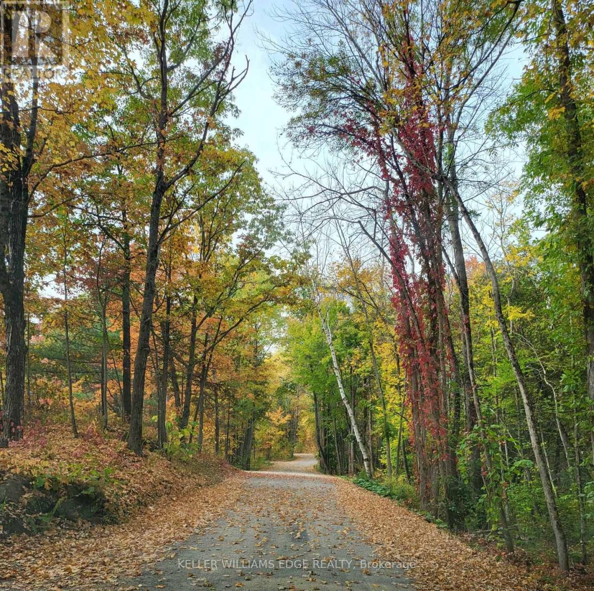 51 Lakeview Road, North Kawartha, Ontario  K0L 1A0 - Photo 33 - X12723880