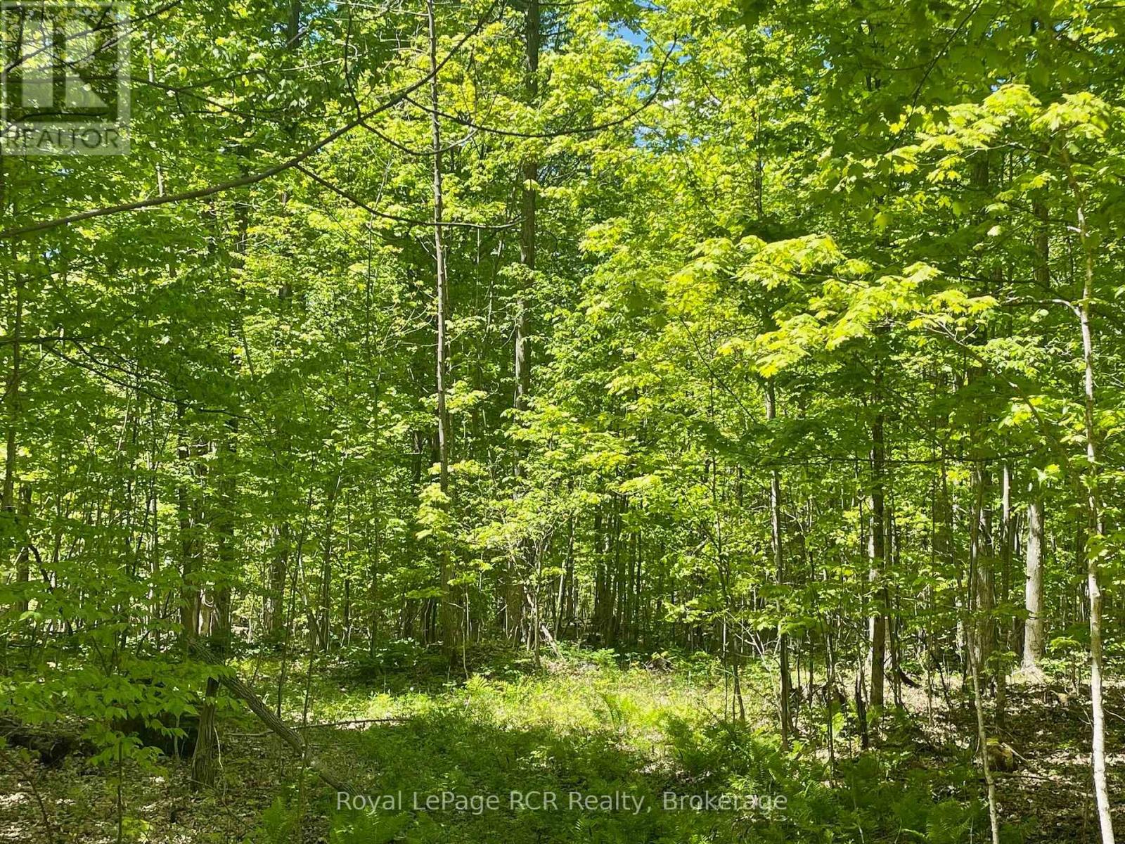 N/a Sunny Valley Road, Meaford, Ontario N4K 5N8 - Photo 10 - X12724252