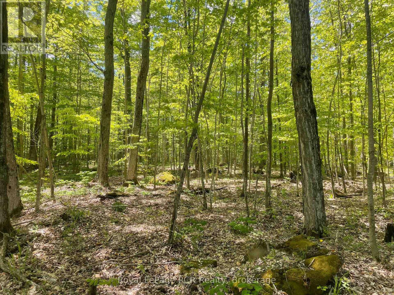 N/a Sunny Valley Road, Meaford, Ontario N4K 5N8 - Photo 12 - X12724252