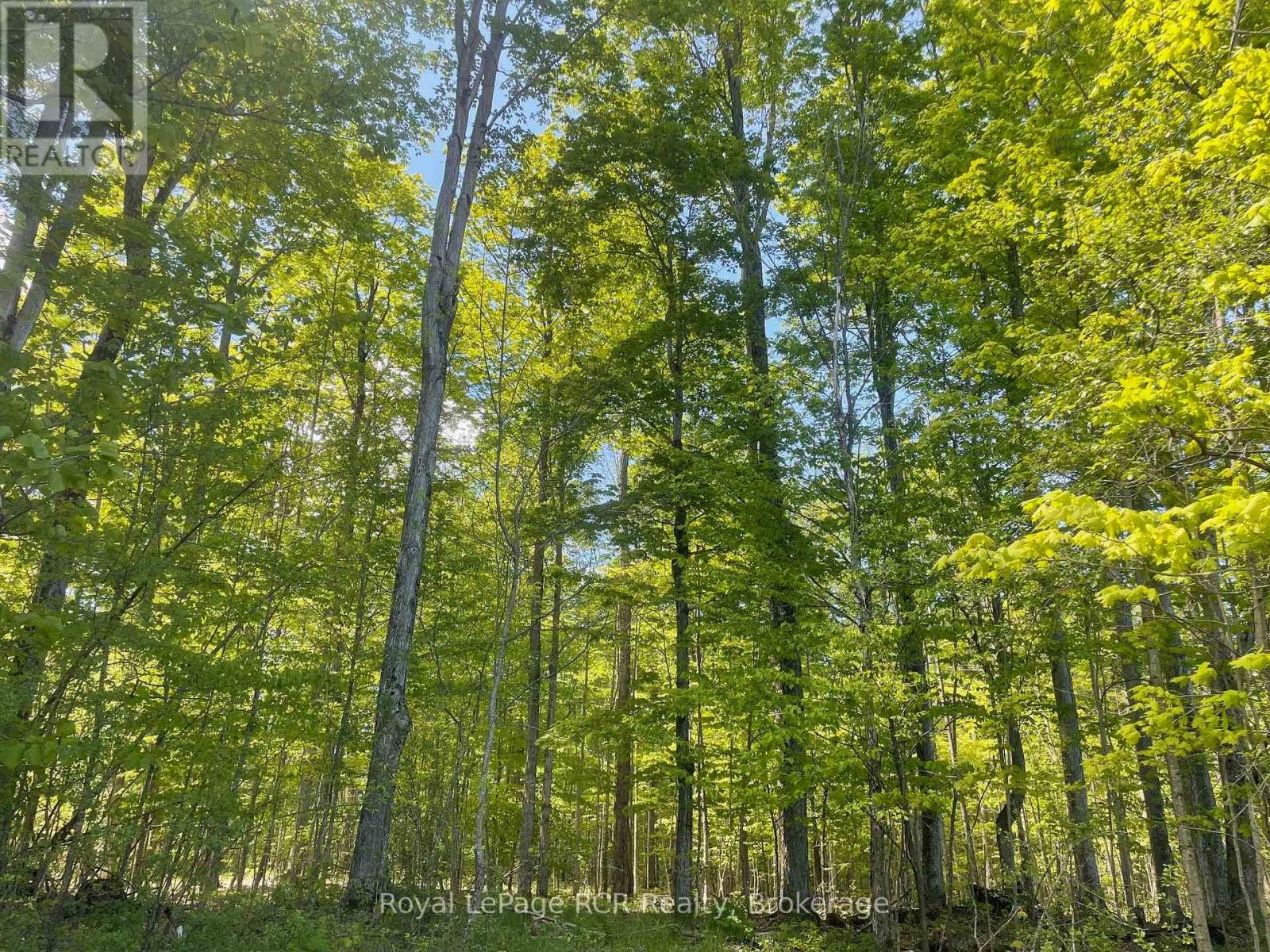 N/a Sunny Valley Road, Meaford, Ontario N4K 5N8 - Photo 13 - X12724252