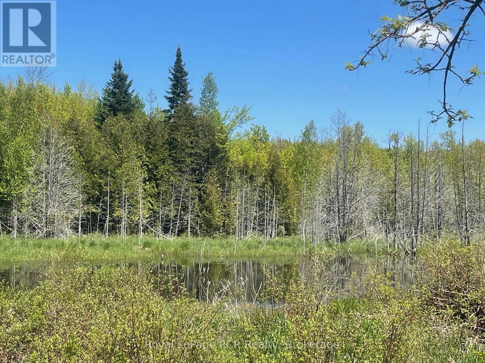 N/a Sunny Valley Road, Meaford, Ontario N4K 5N8 - Photo 14 - X12724252