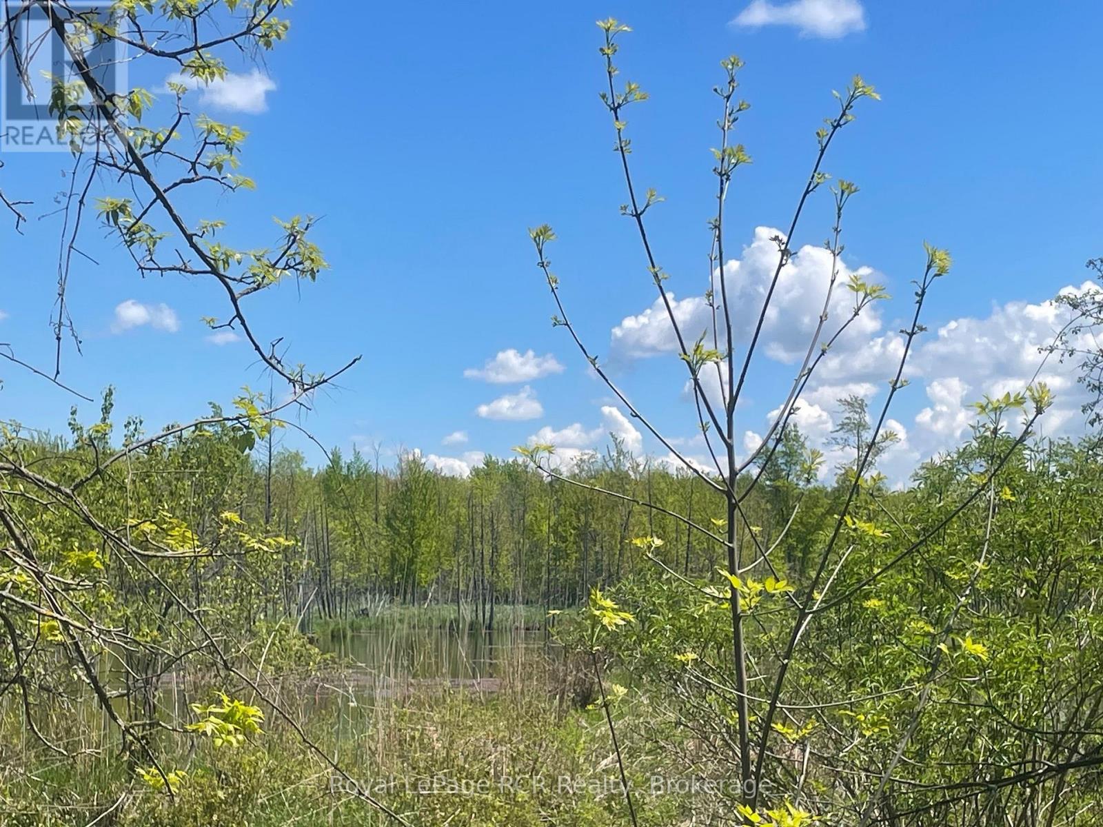 N/a Sunny Valley Road, Meaford, Ontario N4K 5N8 - Photo 15 - X12724252