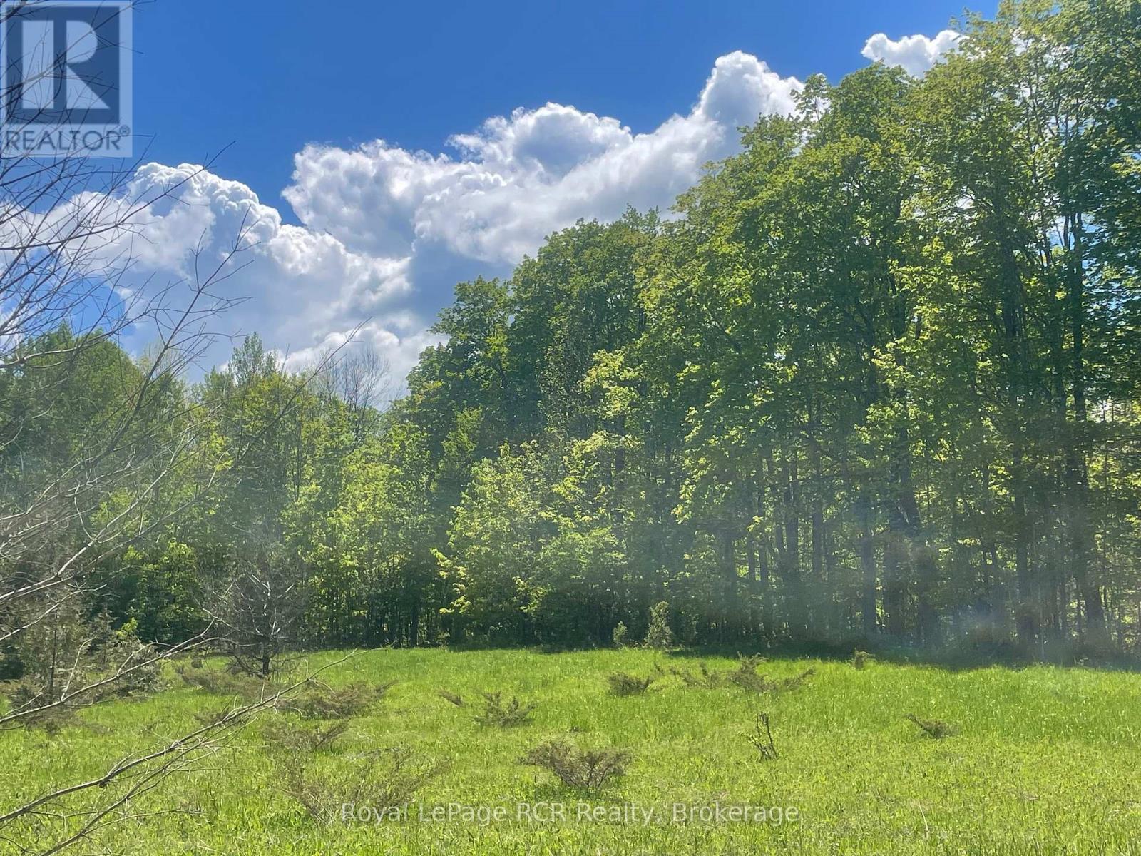 N/a Sunny Valley Road, Meaford, Ontario N4K 5N8 - Photo 16 - X12724252