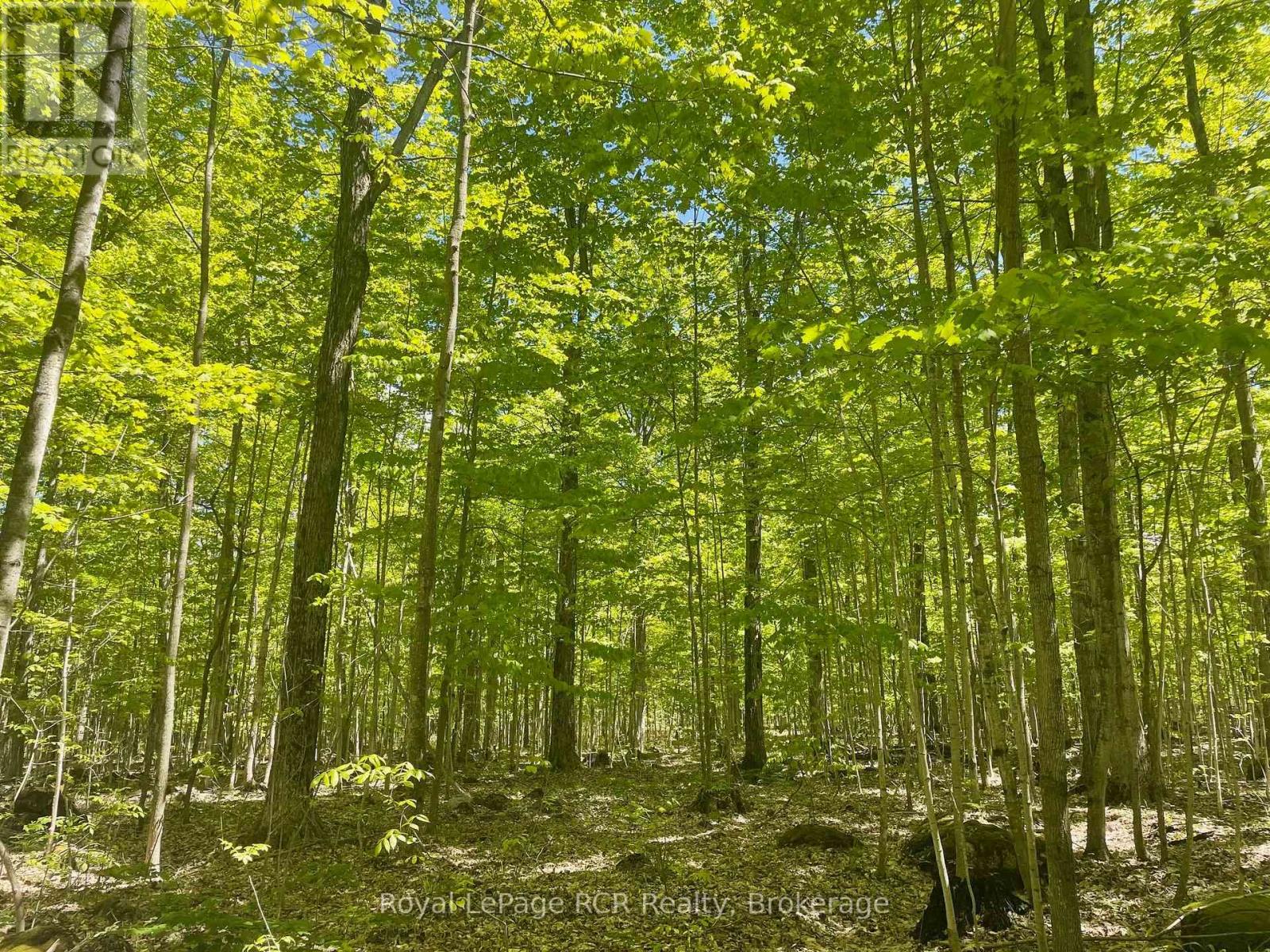 N/a Sunny Valley Road, Meaford, Ontario N4K 5N8 - Photo 19 - X12724252