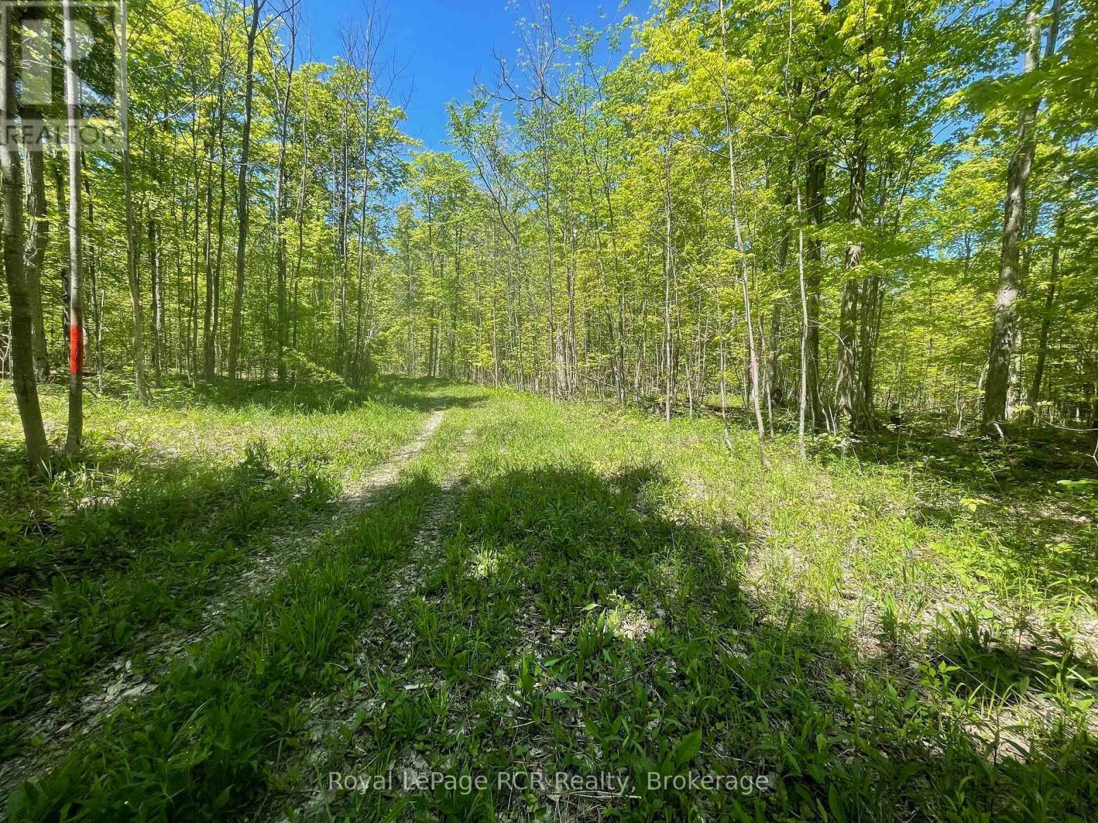 N/a Sunny Valley Road, Meaford, Ontario N4K 5N8 - Photo 20 - X12724252