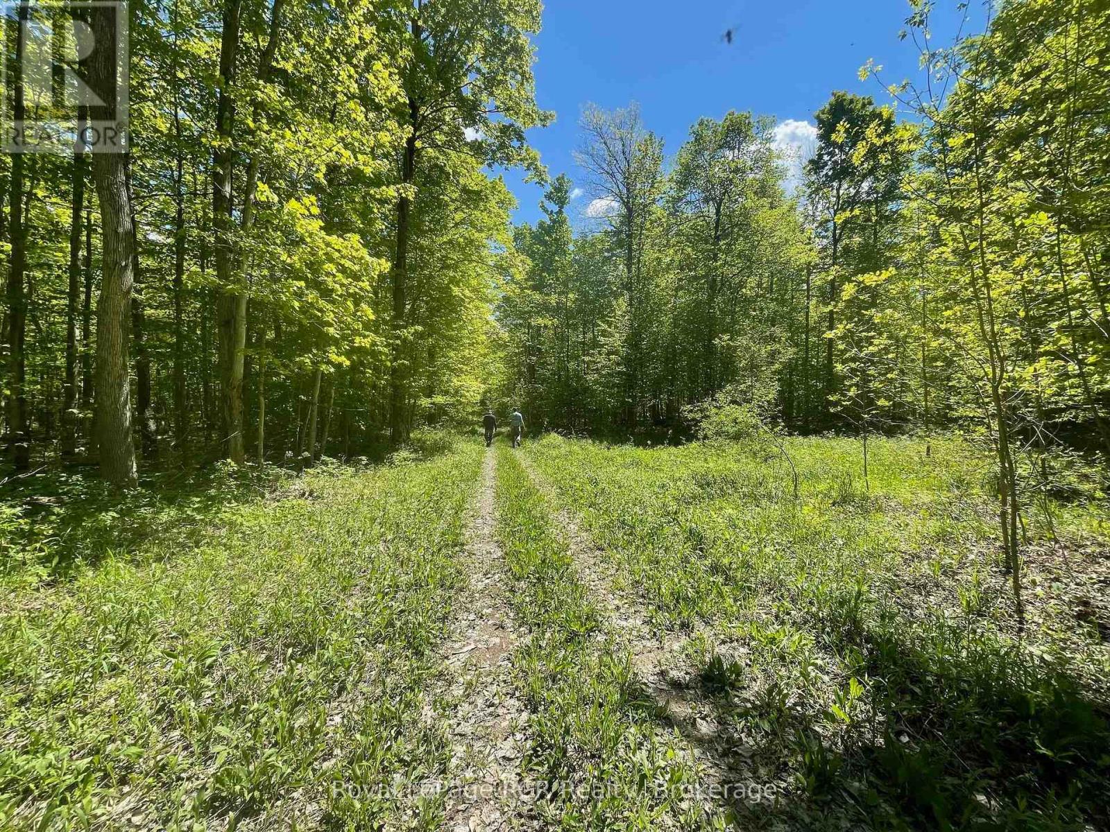 N/a Sunny Valley Road, Meaford, Ontario N4K 5N8 - Photo 21 - X12724252