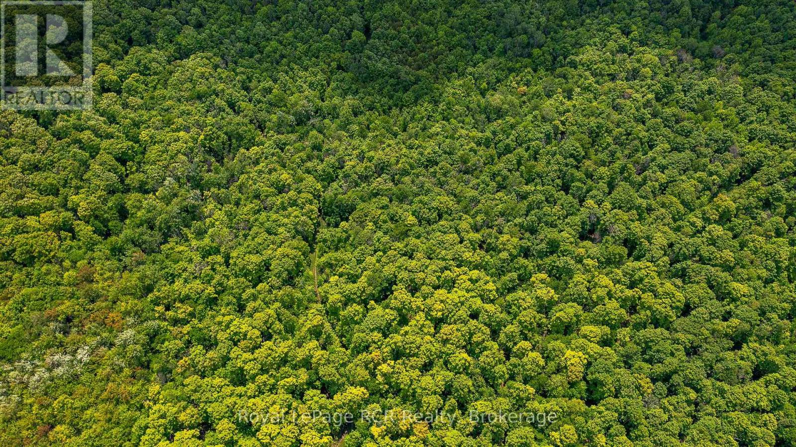 N/a Sunny Valley Road, Meaford, Ontario N4K 5N8 - Photo 6 - X12724252