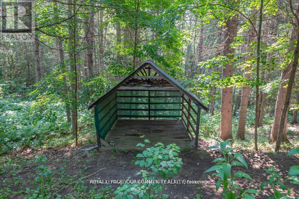 9297 Hwy 118 E, Minden Hills, Ontario  K0M 1J2 - Photo 3 - X12724250