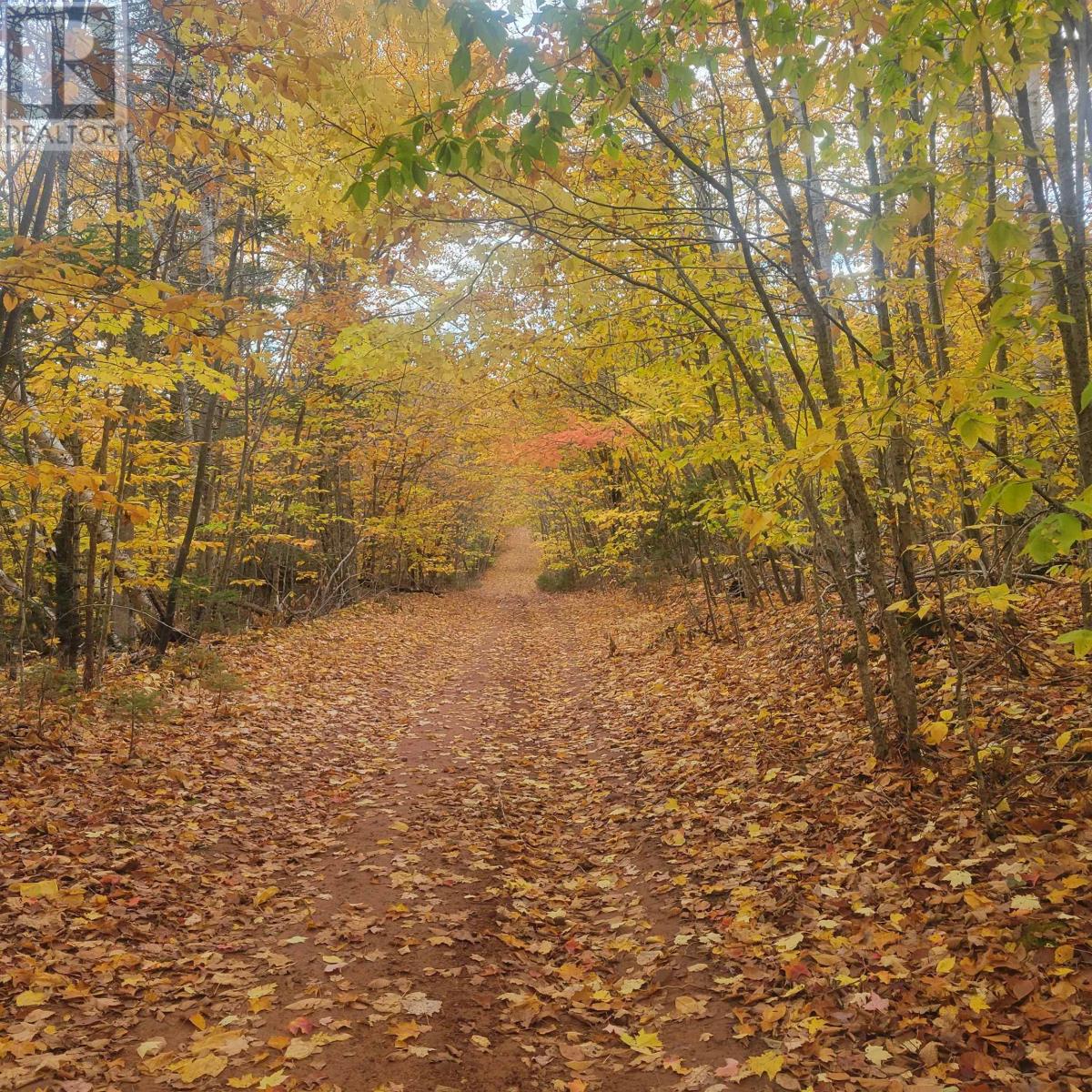 A19 Riverbend Lane, North Granville, Prince Edward Island  C0A 1N0 - Photo 8 - 202600477