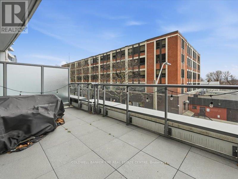 302 - 212 King William Street, Hamilton, Ontario  L8R 3N9 - Photo 7 - X12692972