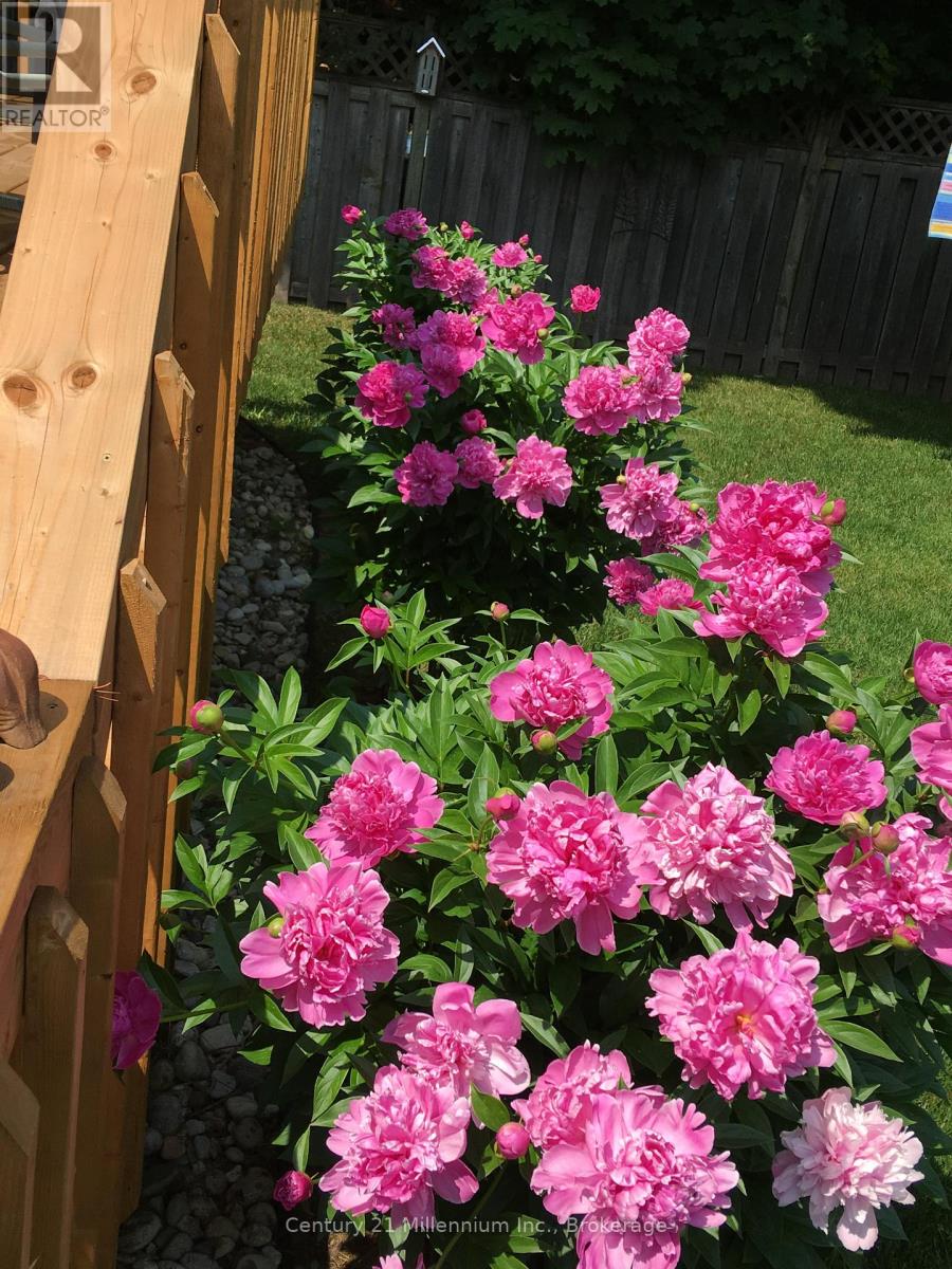 330 1st Street W, Owen Sound, Ontario  N4K 6R4 - Photo 37 - X12724364