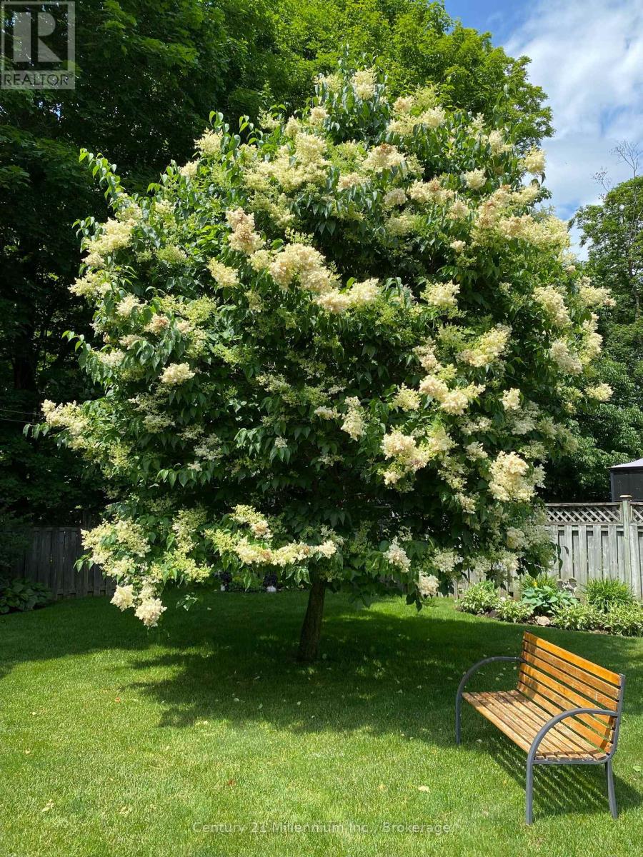 330 1st Street W, Owen Sound, Ontario  N4K 6R4 - Photo 39 - X12724364