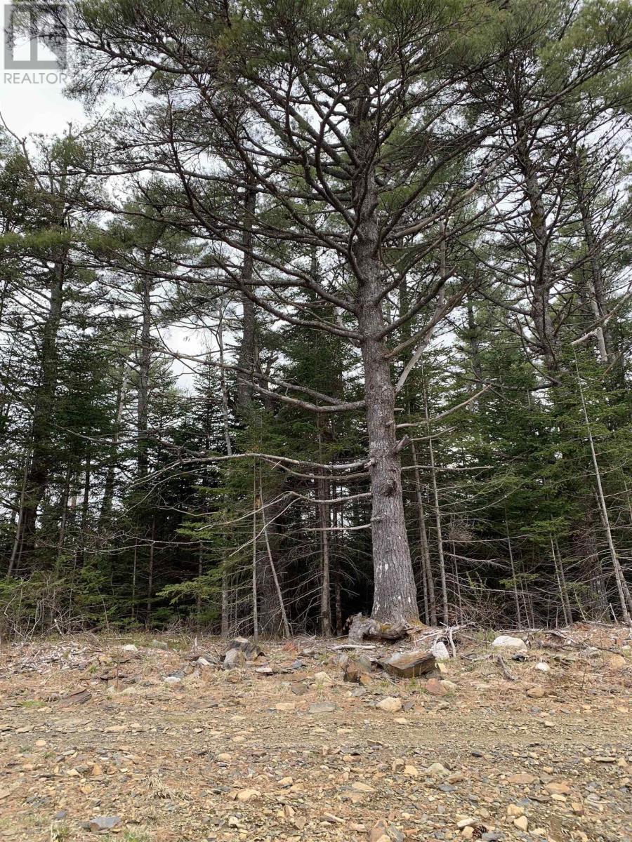 No 103 Highway, Western Shore, Nova Scotia