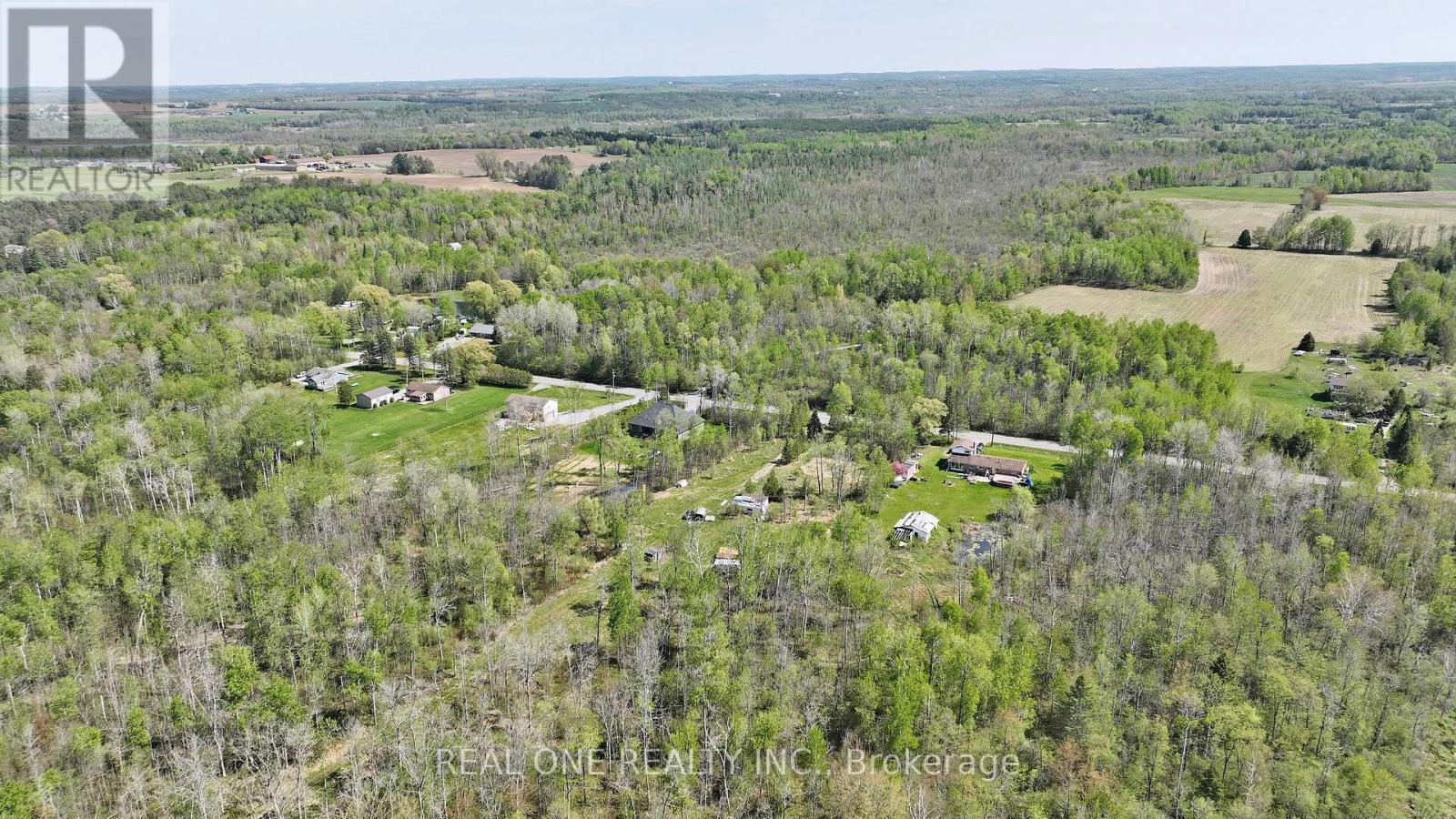 4778 Holborn Road, East Gwillimbury (Mt Albert), Ontario  L0G 1N0 - Photo 27 - N12724560