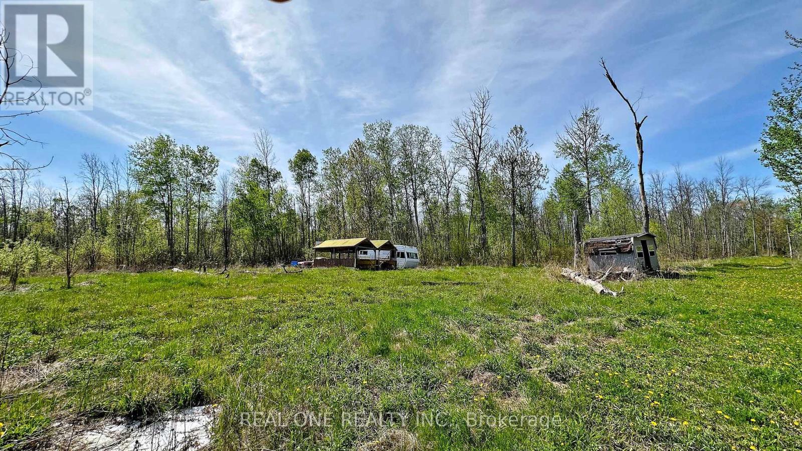 4778 Holborn Road, East Gwillimbury (Mt Albert), Ontario  L0G 1N0 - Photo 4 - N12724560