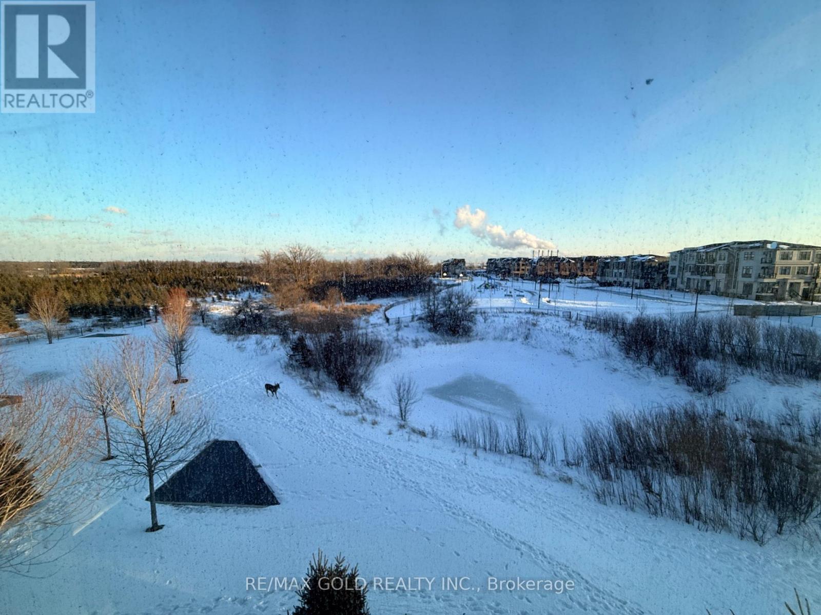 202 - 65 Yorkland Boulevard, Brampton, Ontario  L4C 9Z4 - Photo 4 - W12724392