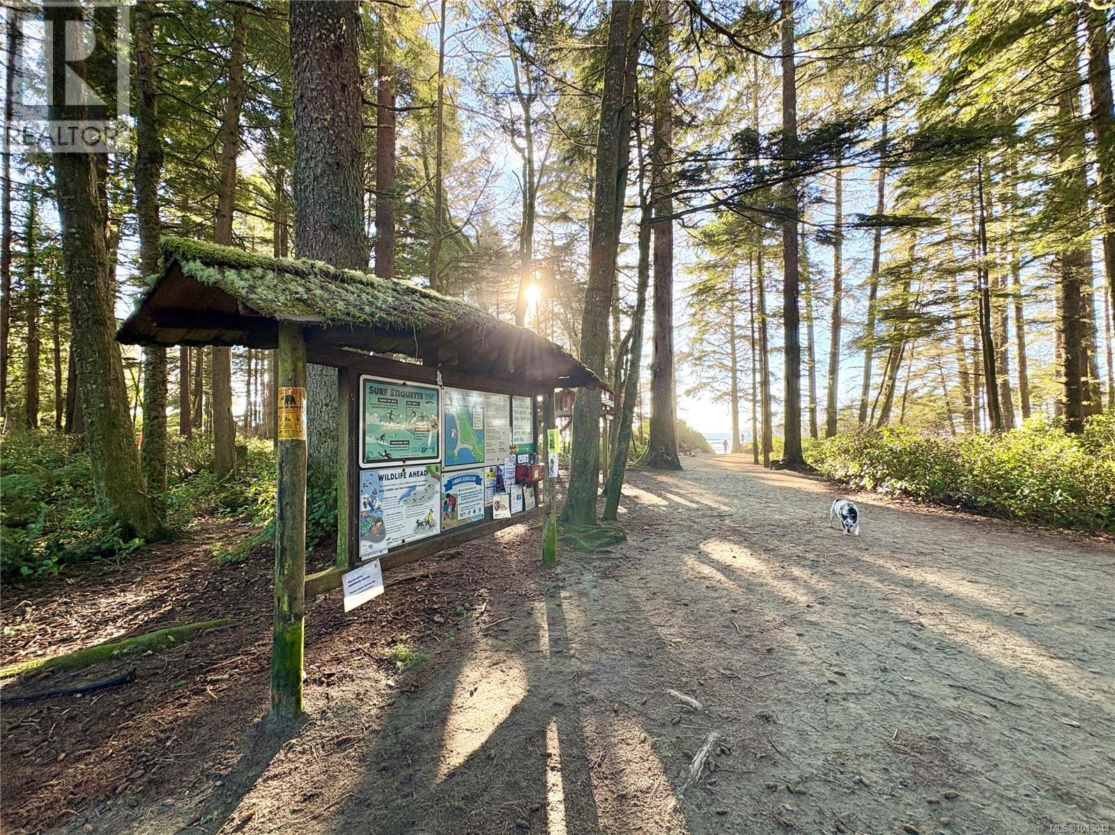 1193 Lynn Rd, Tofino, British Columbia  V0R 2Z0 - Photo 1 - 1013044