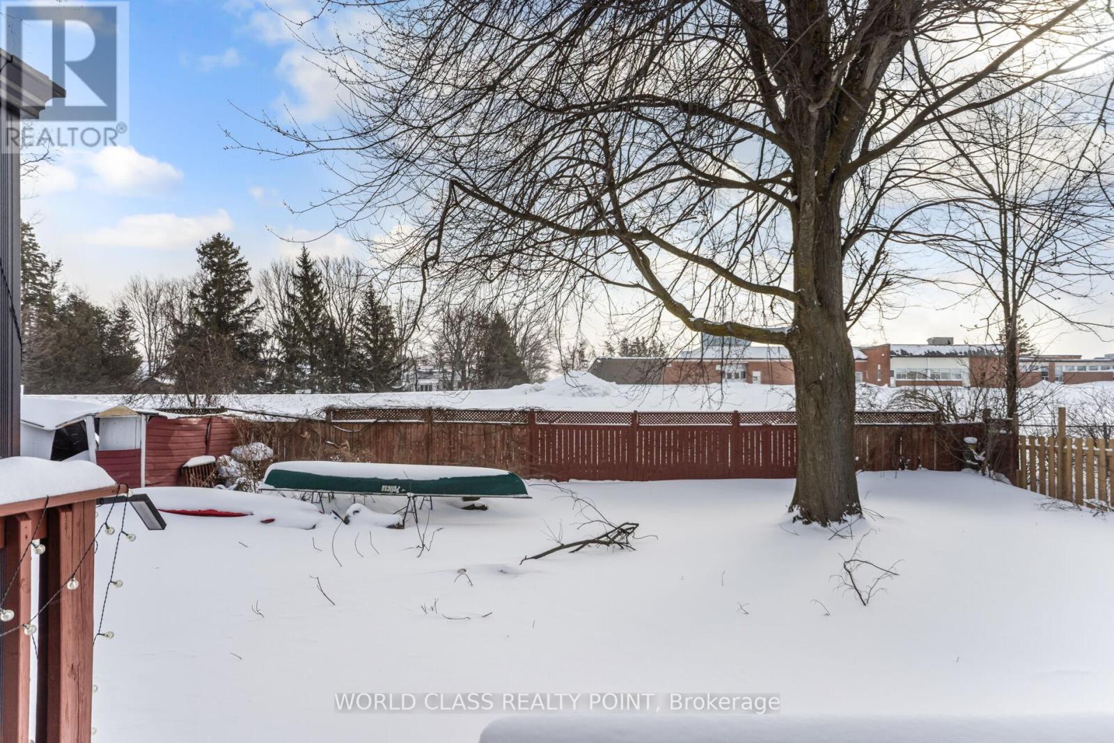 115 Marie Street, Shelburne, Ontario  L0N 1S1 - Photo 49 - X12724374