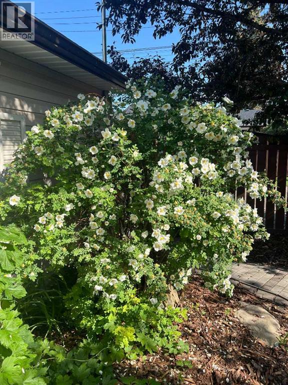 708 Allden Place Se, Calgary, Alberta  T2J 1E5 - Photo 50 - A2280516