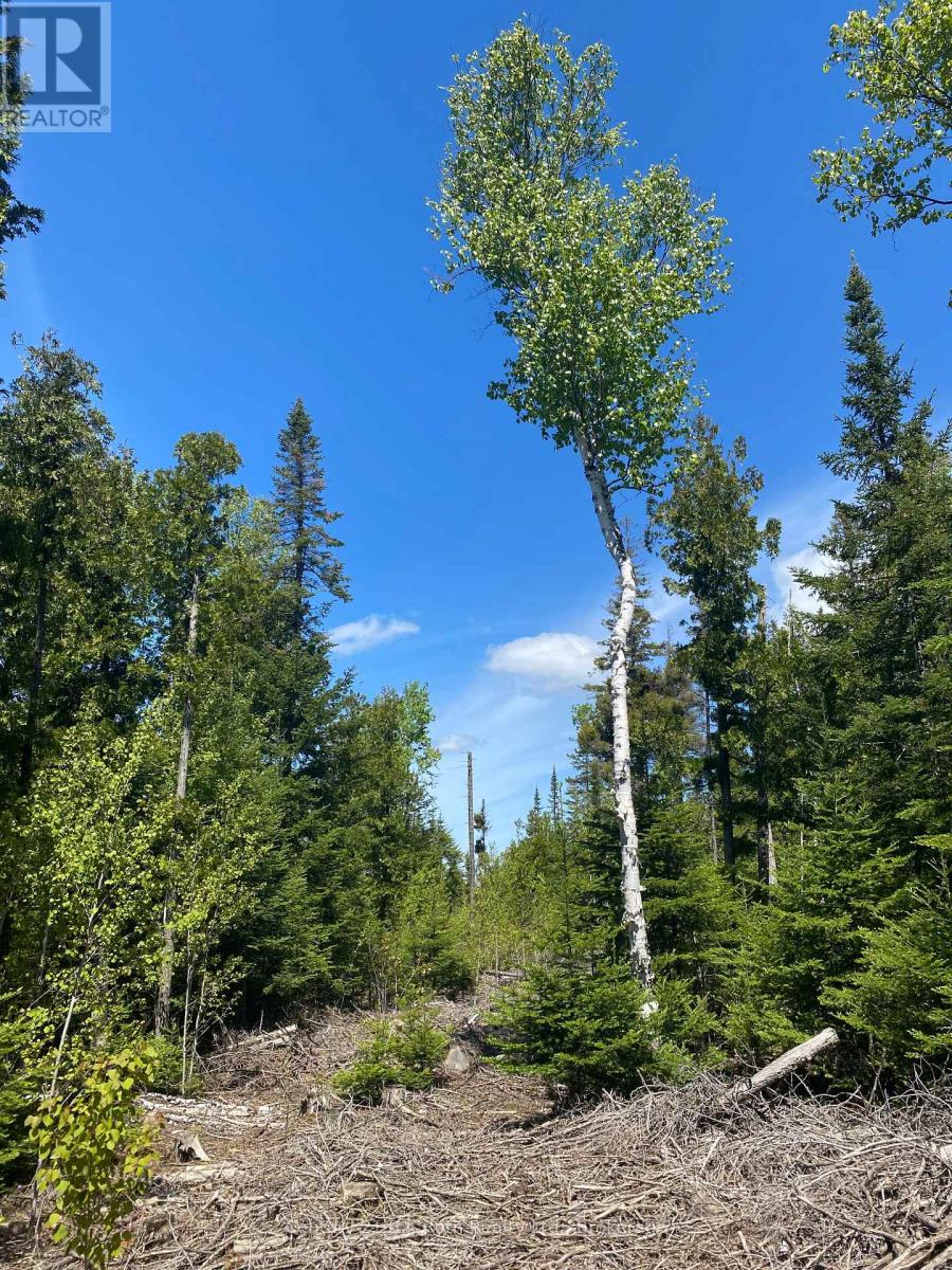 155 Bradley Drive, Northern Bruce Peninsula, Ontario N0H 1Z0 - Photo 11 - X12724662